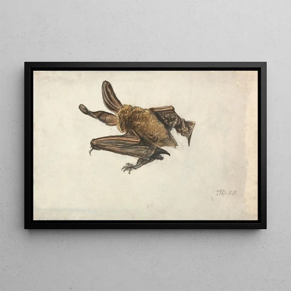 A brown bat with long ears - James Ward — framed artwork on a wall