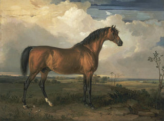 Eagle, a famous stallion - James Ward — artwork view