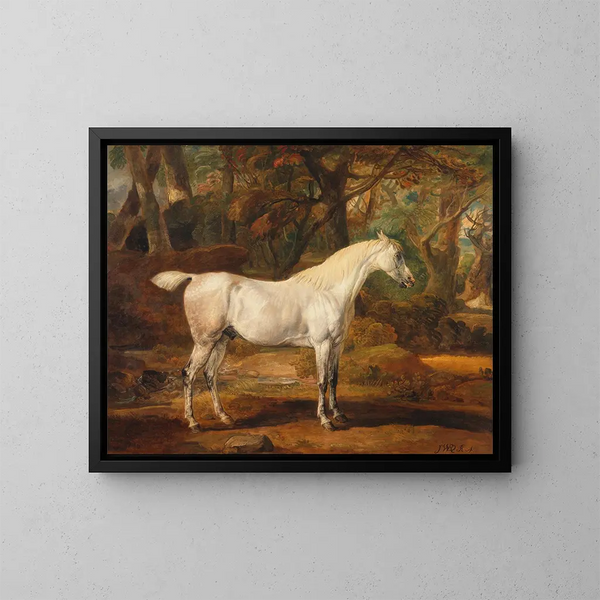 Gray Arabian Stallion belonging to Sir Watkin Williams-Wynn - James Ward — framed artwork on a wall
