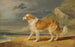 Colley à poil dur - James Ward — artwork view