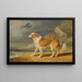Colley à poil dur - James Ward — framed artwork on a wall