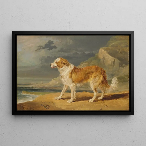 Colley à poil dur - James Ward — framed artwork on a wall