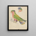A cockatoo - James de Carle Sowerby — framed artwork on a wall
