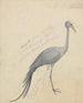 A Crane - James de Carle Sowerby — artwork view