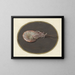 Shrimp - Jan Augustin van der Goes — framed artwork on a wall