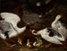 Falcon and Geese - Jan Baptist Bouttats — artwork view