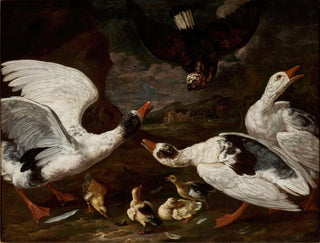 Falcon and Geese - Jan Baptist Bouttats — artwork view