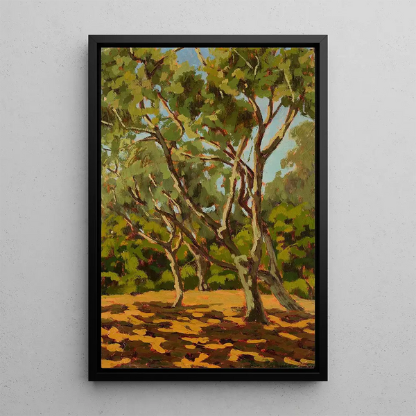 Olive Trees and Sunlit Clearing - Jan Bohuszewicz — framed artwork on a wall