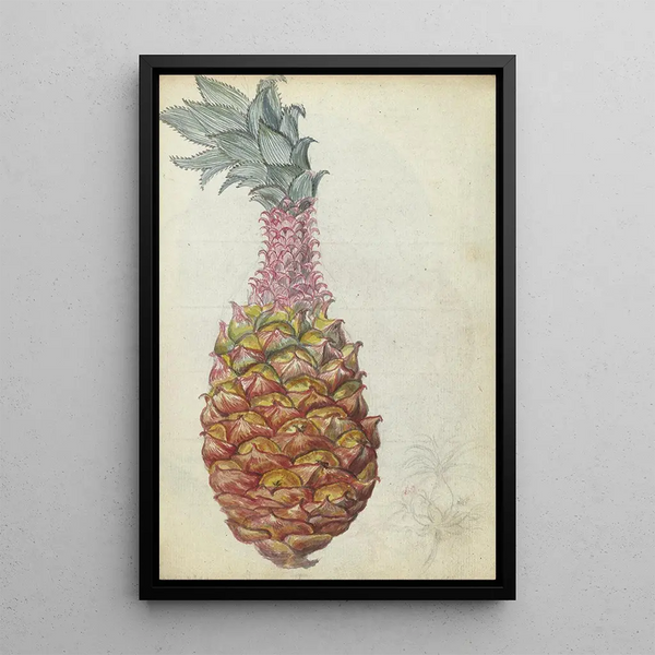 Pineapple - Jan Brandes — framed artwork on a wall