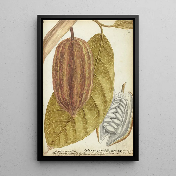 Cacao - Jan Brandes — framed artwork on a wall