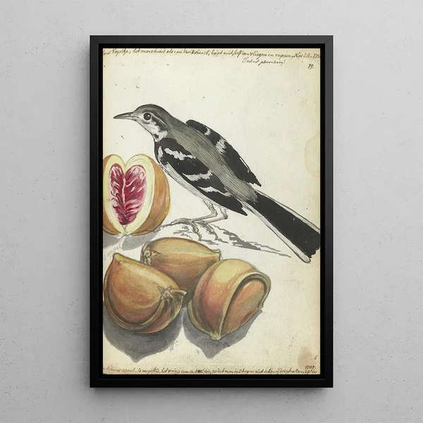 Bergeronnette avec fruits - Jan Brandes — framed artwork on a wall