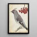 Swedish Bird Painting - Jan Brandes — framed artwork on a wall