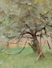 Pommier - Jan Cybis — artwork view
