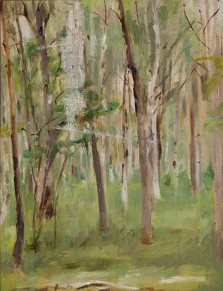 Jan Cigliski - Maryino grove.webp