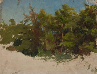 Study of Podolia - Jan Cybis — artwork view