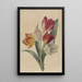 Bouquet of Tulips - Jan Jacob Goteling Vinnis — framed artwork on a wall