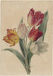 Bouquet of Tulips - Jan Jacob Goteling Vinnis — artwork view