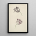 Two white and red tulips - Jan Jansz van der Vinne — framed artwork on a wall