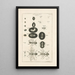 The Book of Nature or L'histoire des insectes Pl16 - Jan Swammerdam — framed artwork on a wall
