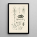 The Book of Nature or L'histoire des insectes Pl28 - Jan Swammerdam — framed artwork on a wall