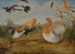 Landscape painting with a cock and a turkey quarreling and other poultry - Jan van Kessel the Elder — artwork view