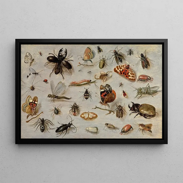 Study of butterflies, moths, spiders, and insects - Jan van Kessel the Elder — framed artwork on a wall