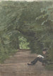 Man reading in a forest alley - Jan Veth — artwork view