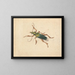 Green Scarab Beetle Painting with Brown Legs - Jan Vincentsz van der Vinne — framed artwork on a wall