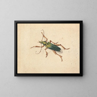 Green Scarab Beetle Painting with Brown Legs - Jan Vincentsz van der Vinne — framed artwork on a wall