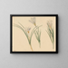 Three Studies of Crocus - Jan Weissenbruch — framed artwork on a wall