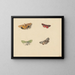 Four butterflies - Jan Weissenbruch — framed artwork on a wall