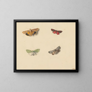 Four butterflies - Jan Weissenbruch — framed artwork on a wall
