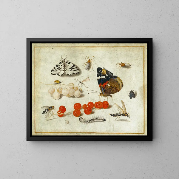 Butterfly, caterpillar, mite, insects and currants - Jan van Kessel the Younger — framed artwork on a wall