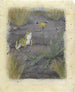 Frog near a dandelion with flies - Jan van Oort — artwork view