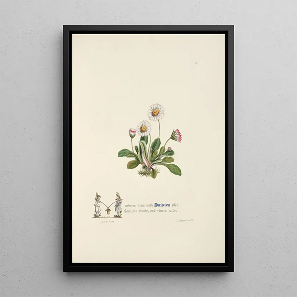 Daisies - Jane Elizabeth Giraud — framed artwork on a wall