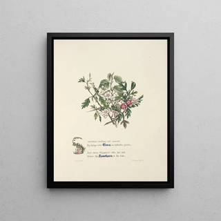 Jane Elizabeth Giraud - Elms and hawthorns.webp