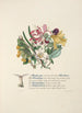 Lycidas - Jane Elizabeth Giraud — artwork view