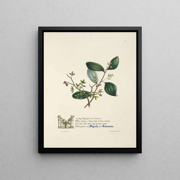 Myrrhe et cannelle - Jane Elizabeth Giraud — framed artwork on a wall