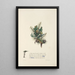 Oak and cedar - Jane Elizabeth Giraud — framed artwork on a wall
