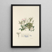 Églantier églantine et vigne - Jane Elizabeth Giraud — framed artwork on a wall