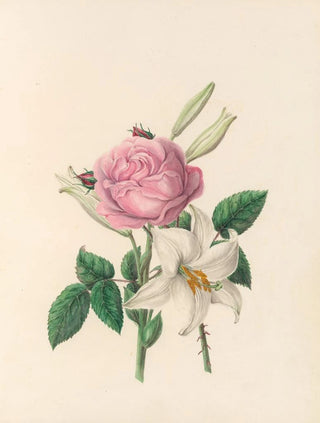 Jane Elizabeth Giraud - The fte of the flowers Pl01.webp