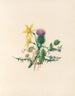 La fête des fleurs Pl02 - Jane Elizabeth Giraud — artwork view