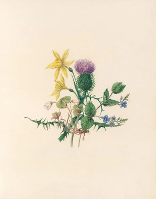 Jane Elizabeth Giraud - The fte of the flowers Pl02.webp