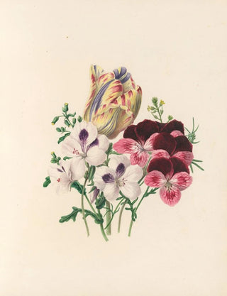 Jane Elizabeth Giraud - The fte of the flowers Pl03.webp