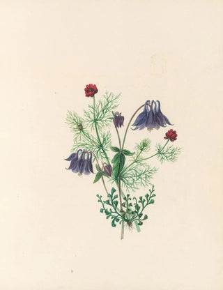 Jane Elizabeth Giraud - The fte of the flowers Pl05.webp