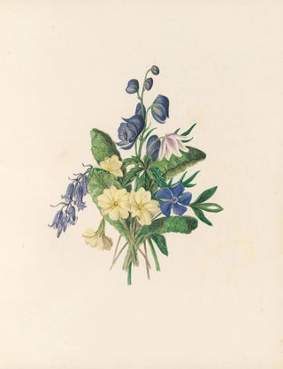 Jane Elizabeth Giraud - The fte of the flowers Pl06.webp