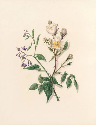 Jane Elizabeth Giraud - The fte of the flowers Pl11.webp