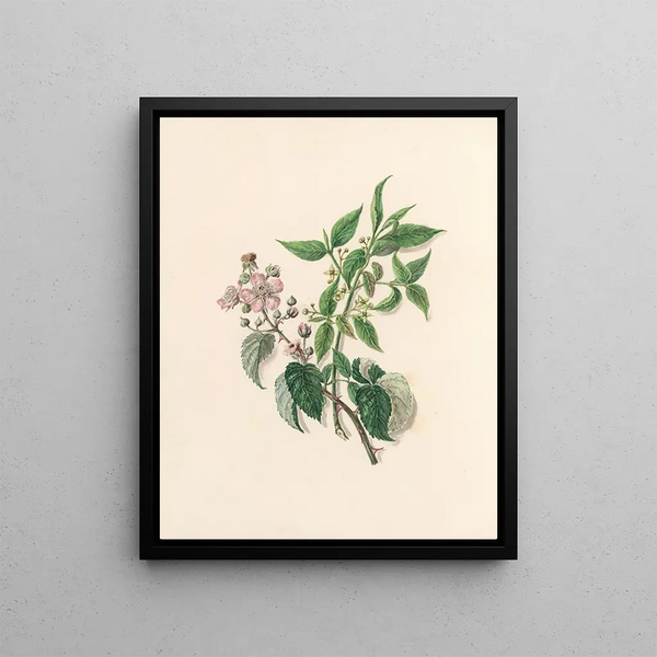 La fête des fleurs Pl13 - Jane Elizabeth Giraud — framed artwork on a wall