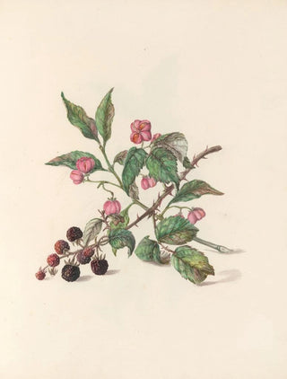 Jane Elizabeth Giraud - The fte of the flowers Pl14.webp