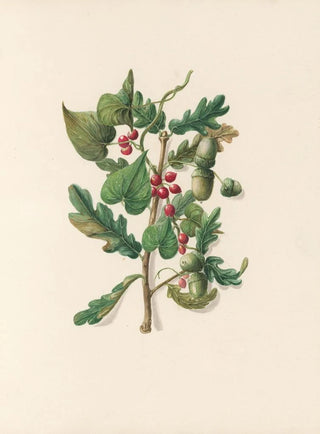 Jane Elizabeth Giraud - The fte of the flowers Pl16.webp